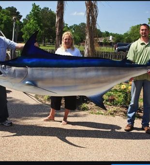 Impressive blue marlin landed in Tamarindo waters!