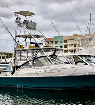 Ready for action in Tamarindo waters!