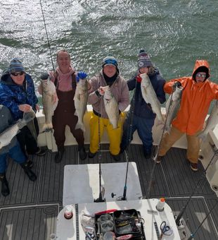 Stripers are really biting here! -Cape May, NJ.
