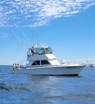 Gone Fishin’ Sport Fishing Charters