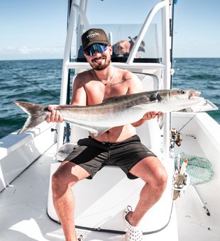 Cobia Trophy Catch! - Fort Myers, FL.