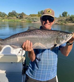 Impressive Chinook!