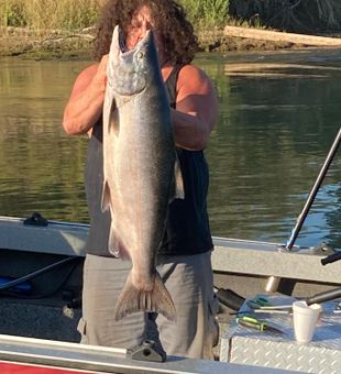 Beastly Chinook!