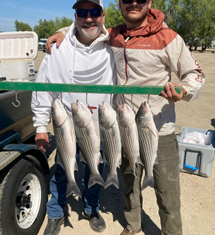 Sac. Stripers Drifting Minnows - Great day fishing