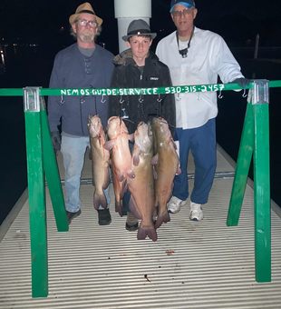Clear Lake catfishing - Big Fish 22 lbs 4 ounces!