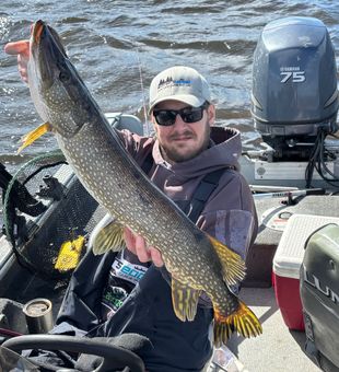 Nice Northern Pike from Duluth waters!