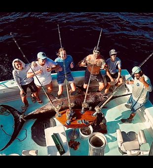 Charter fishing action in Key West waters!