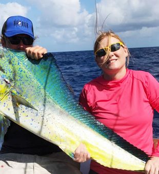 Mahi-mahi Fresh Catch! - Stock Island, FL.