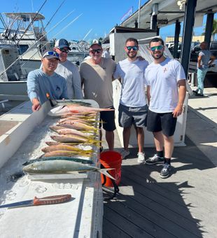 Vibrant catch of the day!