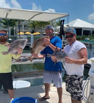Variety! - Stock Island, FL.