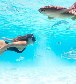 Snorkel time in crystal water