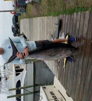 Epic Outer Banks Yellowfin tuna catch