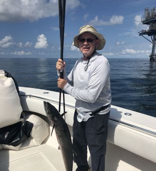 Massive cobia catch at the offshore rig.