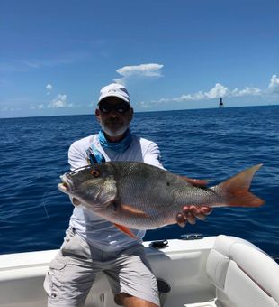 Florida's Mutton Snapper Fish