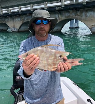 Ramrod Key's Hogfish fishing