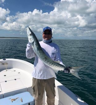 Great Barracuda from Atlantic ocean, FL