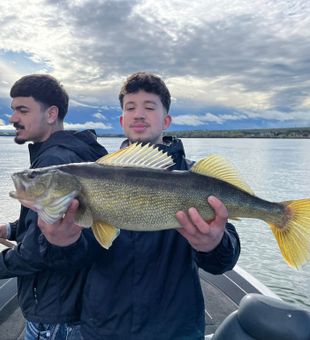 Golden walleye victory on open water!