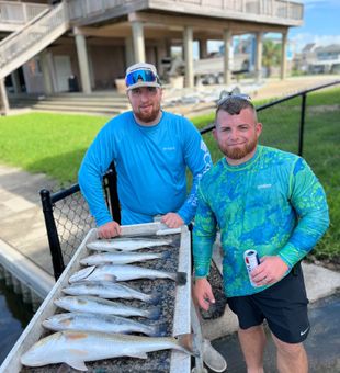 Catches of the day—nice work!