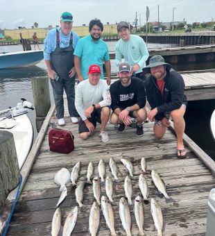 That’s what we call a bay bounty!