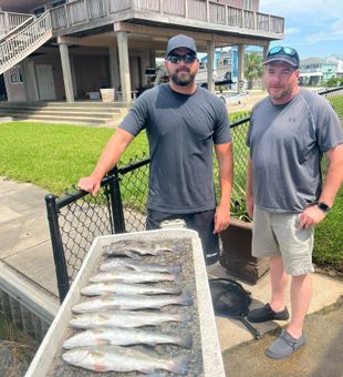 One fish, two fish... you know the rest.