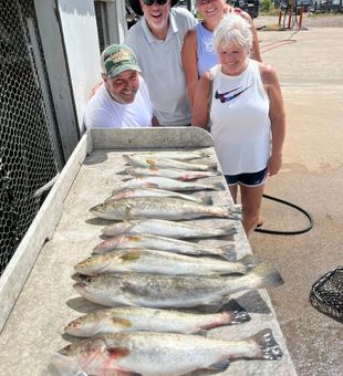 More fish than stories—for once!