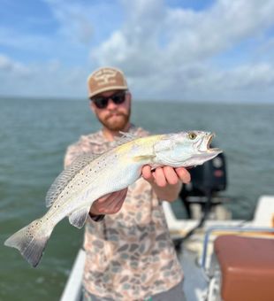 Early morning drift on Galveston Bay flats