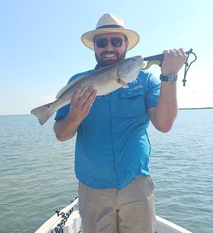Perfect weather, calm seas, and plenty of action in Port A!