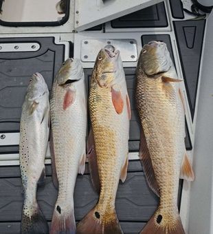 Stacked haul!