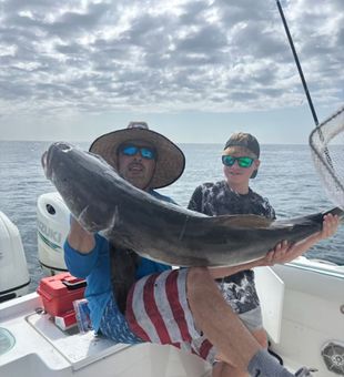 Giant Cobia Reeled In! - Port Canaveral, FL.