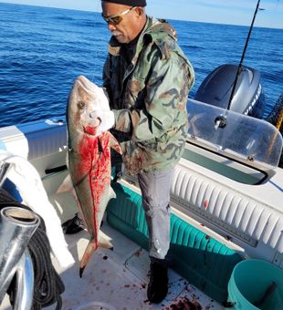 Fresh catch: hefty cobia!