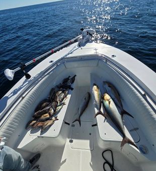 Plentiful catch: diverse selection of fish!