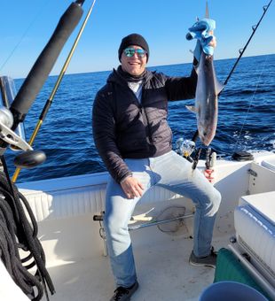 Catch of the day: sleek cobia!