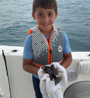 Black sea bass from Wrightsville Beach waters!