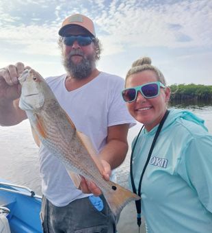 Perfect tides for redfish on the Chassahowitzka River.