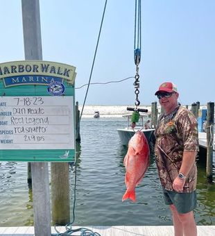 Summer Big Game catches, Snapper Season 2023