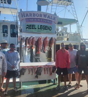 Get Booked for Snapper season