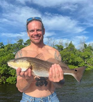 Clean Redfish Reeled In! - Fort Myers, FL.