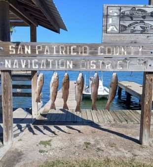 Six beautiful Aransas Pass redfish ready for the table!