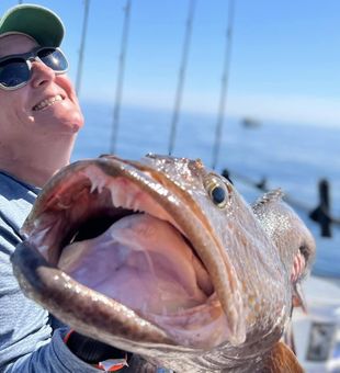 The magnificent Grouper!