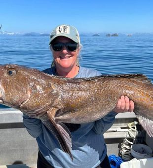 This Trophy Lingcod breaks all record!