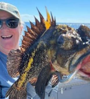 This beautiful Copper Rockfish made my day!