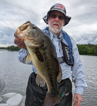 Not too often do I run into Large mouth bass