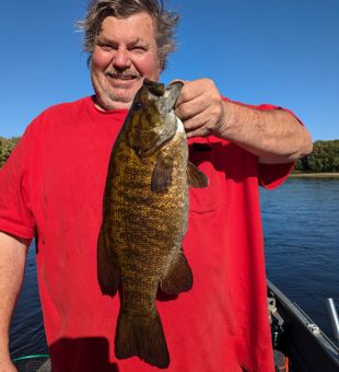 Nice Small mouth caught near little falls, mn