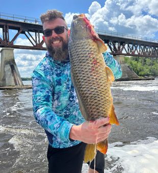 Royalton Common Carp Fishing