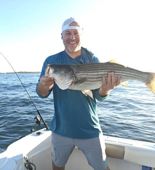 Strong Rhode Island Striped Bass Catch