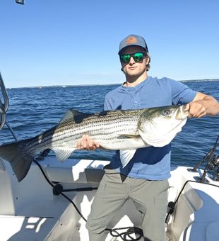 Prime Rhode Island Striped Bass Catch