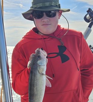 Proud walleye catch on Lake Erie!