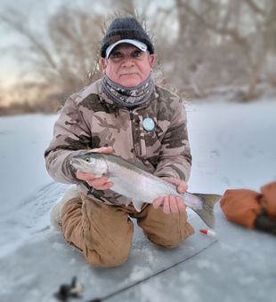 Fresh lake run steelhead thru the ice!