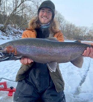 MEGA winter steelhead