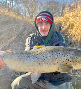 Hungry post spawn brown trout love to eat lures!